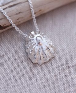 Sterling Silver Limpet Shell Necklace